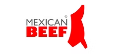 Mexican Beef